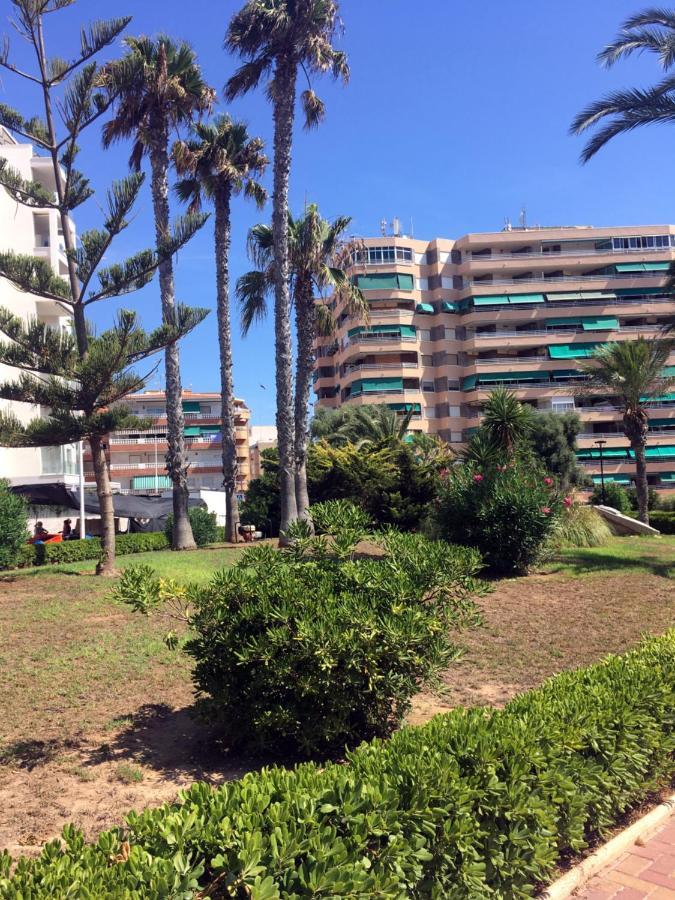 Apartmento Hana Con Terraza - Despues De La Renovacion General La Mata  Extérieur photo